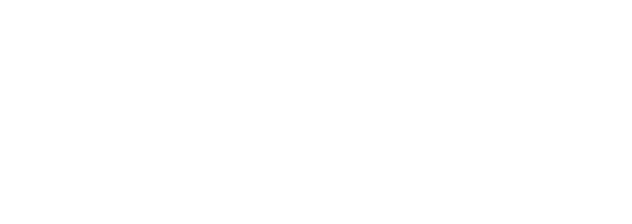 BAV Wealth Care